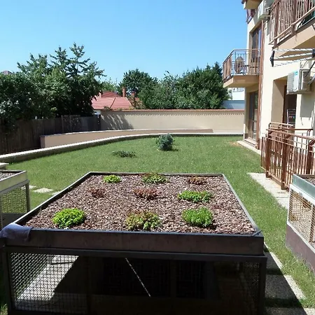 Rex Hajdúszoboszló