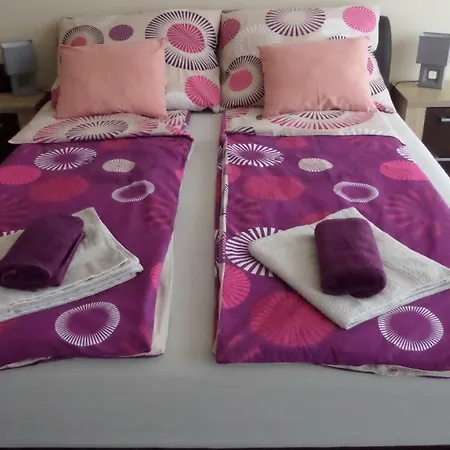 Rex * Hajdúszoboszló