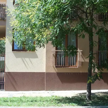 Rex * Hajdúszoboszló