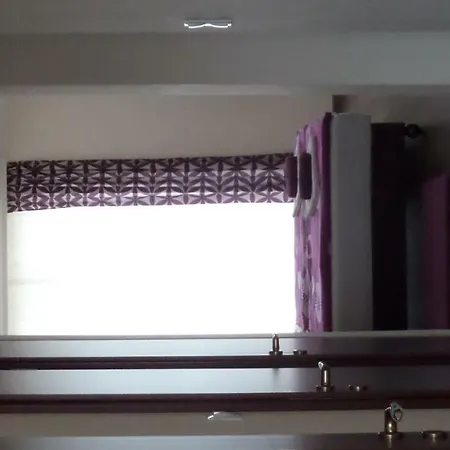 Apartament Rex