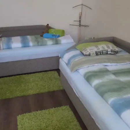 Rex Apartament *