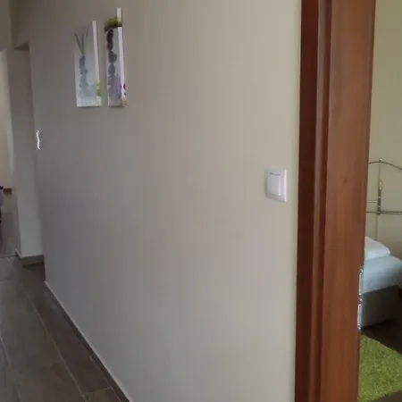 Rex * Hajdúszoboszló