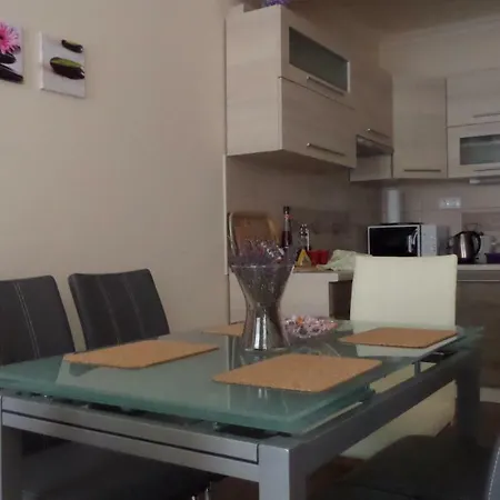 Rex Apartament